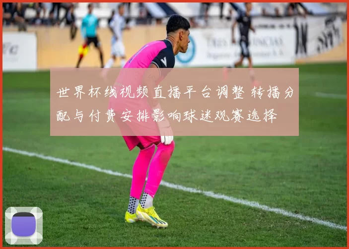 世界杯线视频直播平台调整 转播分配与付费安排影响球迷观赛选择