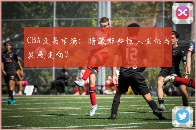 CBA交易市场：暗藏哪些惊人玄机与发展走向？