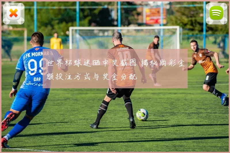 世界杯球迷晒中奖截图 揭秘购彩金额投注方式与奖金分配