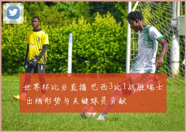 世界杯比分直播 巴西3比1战胜瑞士 出线形势与关键球员贡献