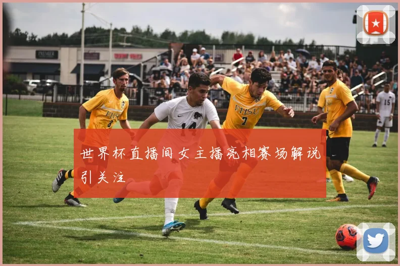 世界杯直播间女主播亮相赛场解说引关注
